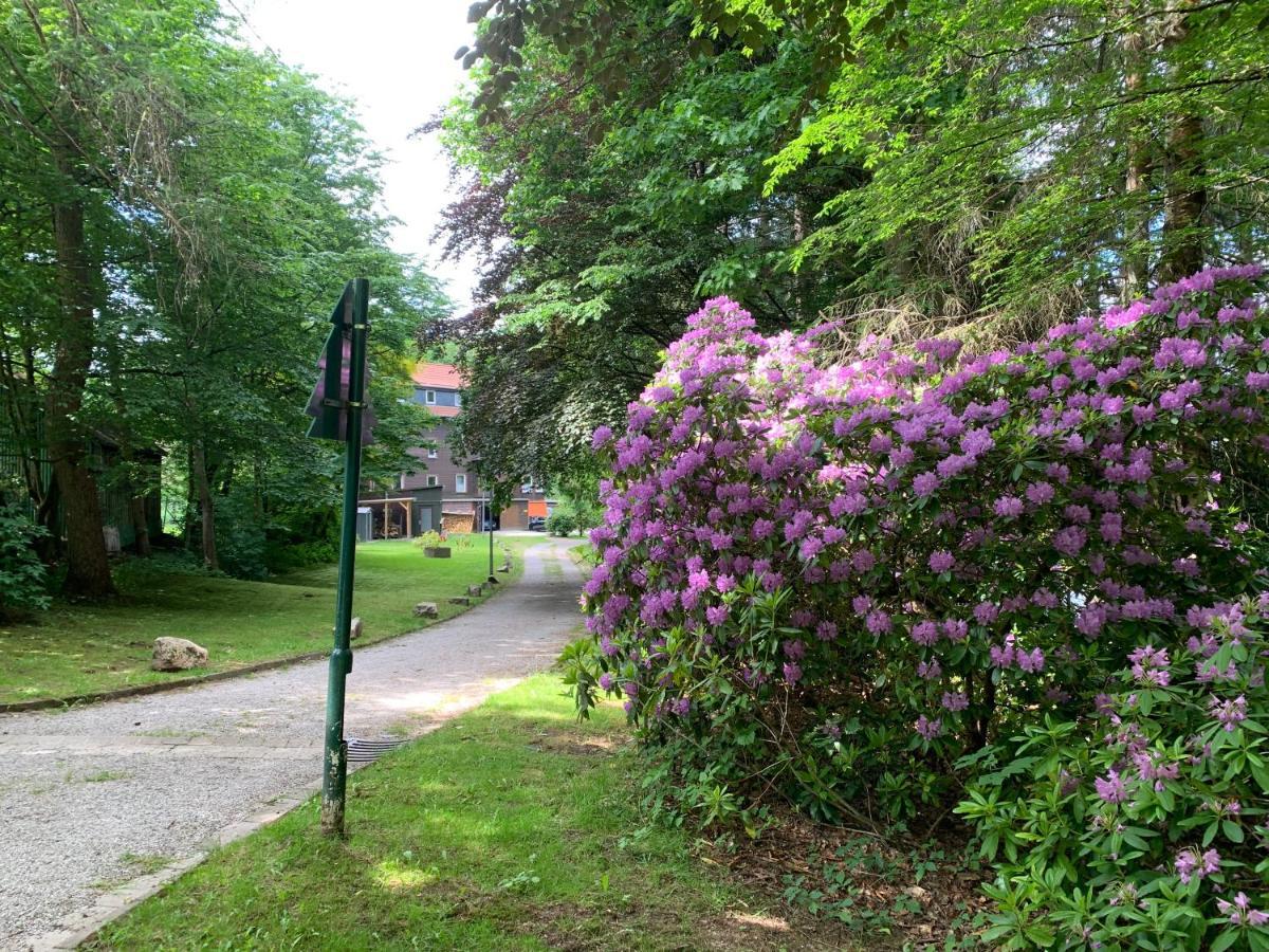 Haus Am Kurpark Lejlighed Clausthal-Zellerfeld Eksteriør billede
