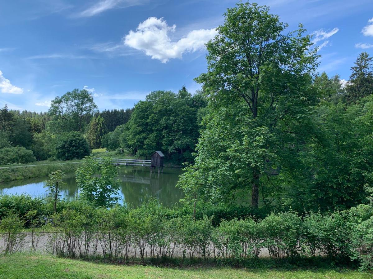 Haus Am Kurpark Lejlighed Clausthal-Zellerfeld Eksteriør billede